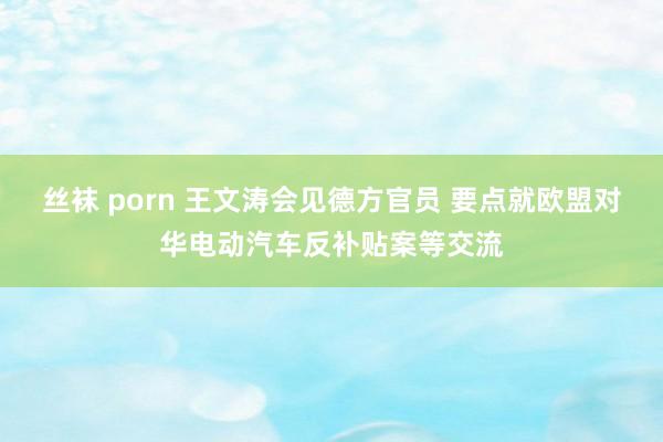 丝袜 porn 王文涛会见德方官员 要点就欧盟对华电动汽车反补贴案等交流