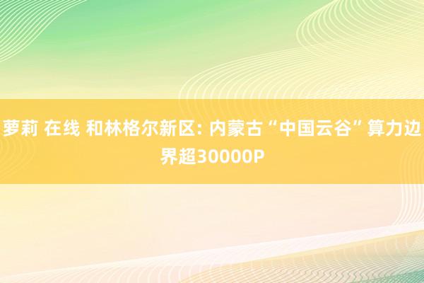 萝莉 在线 和林格尔新区: 内蒙古“中国云谷”算力边界超30000P