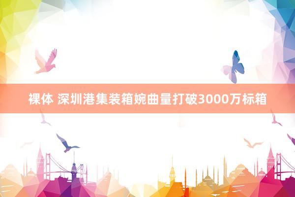 裸体 深圳港集装箱婉曲量打破3000万标箱