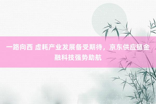 一路向西 虚耗产业发展备受期待，京东供应链金融科技强势助航