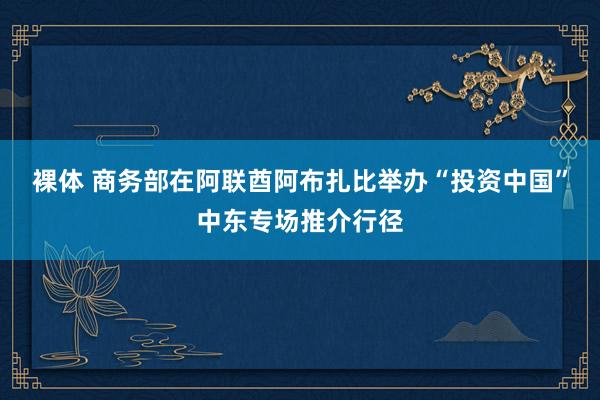 裸体 商务部在阿联酋阿布扎比举办“投资中国”中东专场推介行径