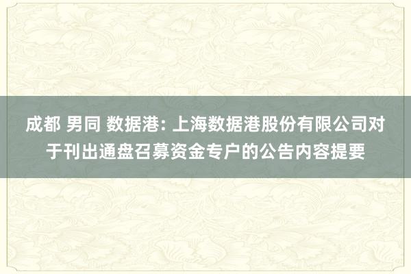 成都 男同 数据港: 上海数据港股份有限公司对于刊出通盘召募资金专户的公告内容提要