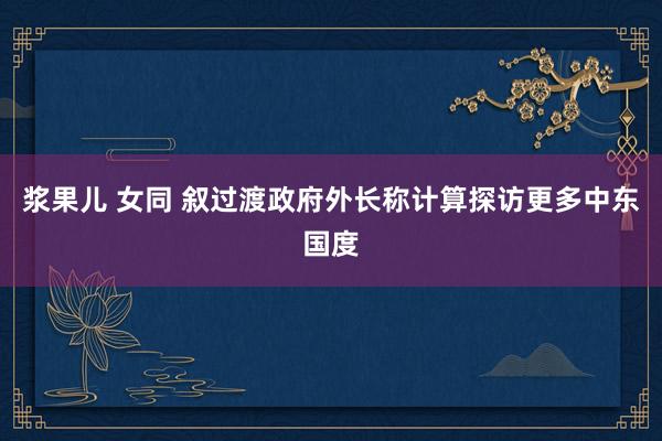 浆果儿 女同 叙过渡政府外长称计算探访更多中东国度