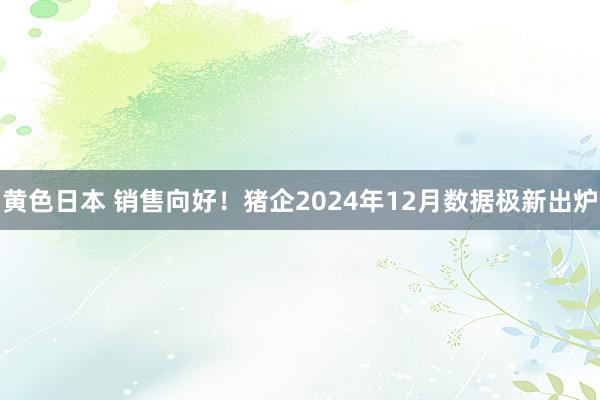 黄色日本 销售向好！猪企2024年12月数据极新出炉