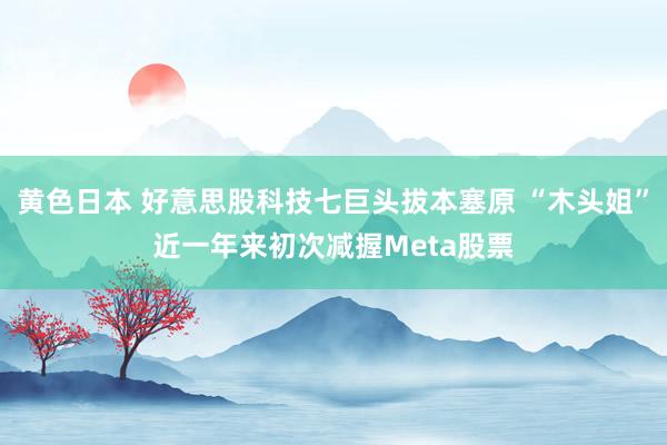黄色日本 好意思股科技七巨头拔本塞原 “木头姐”近一年来初次减握Meta股票