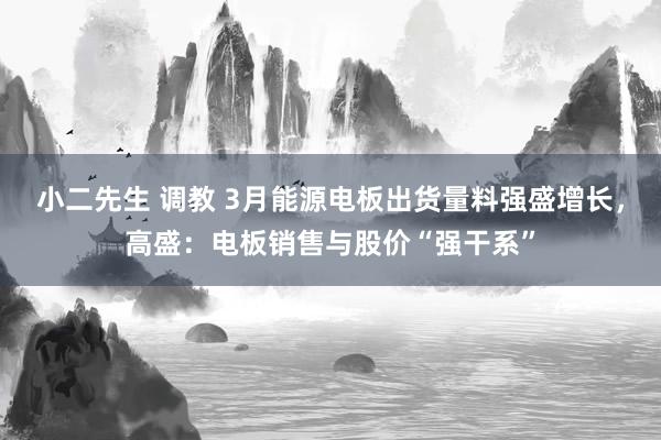 小二先生 调教 3月能源电板出货量料强盛增长，高盛：电板销售与股价“强干系”