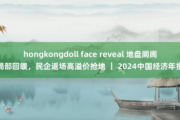 hongkongdoll face reveal 地盘阛阓局部回暖，民企返场高溢价抢地 ｜ 2024中国经济年报