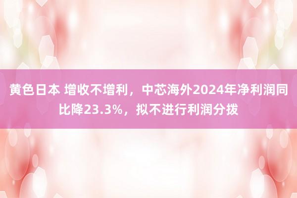 黄色日本 增收不增利，中芯海外2024年净利润同比降23.3%，拟不进行利润分拨