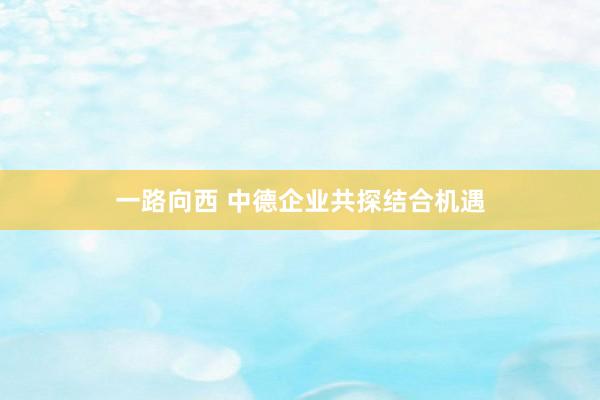 一路向西 中德企业共探结合机遇