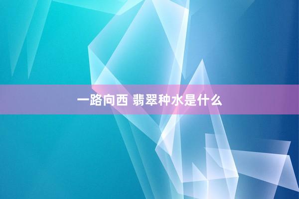 一路向西 翡翠种水是什么