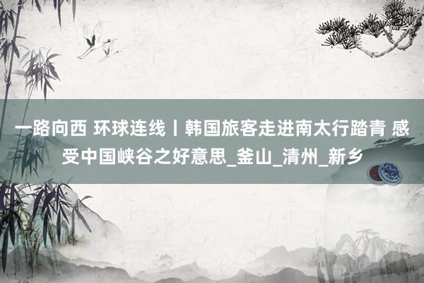 一路向西 环球连线丨韩国旅客走进南太行踏青 感受中国峡谷之好意思_釜山_清州_新乡