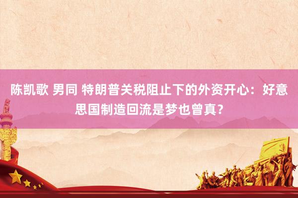 陈凯歌 男同 特朗普关税阻止下的外资开心：好意思国制造回流是梦也曾真？