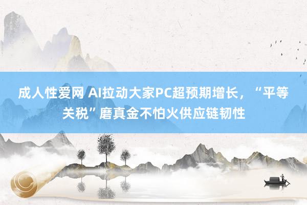 成人性爱网 AI拉动大家PC超预期增长，“平等关税”磨真金不怕火供应链韧性